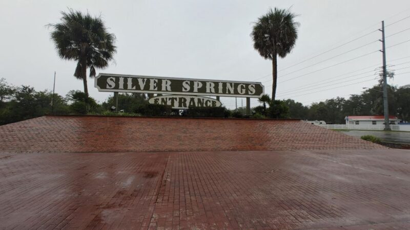 Silver Springs Manatee Kayaking Tour - The Value for Your Money