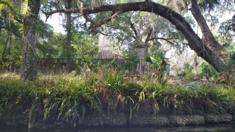 Silver Springs Manatee Kayaking Tour - Authentic Insights from Previous Guests