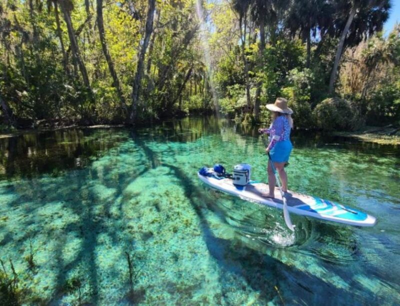 Silver Springs: Manatees and Monkeys Clear Kayak Guided Tour - Key Points
