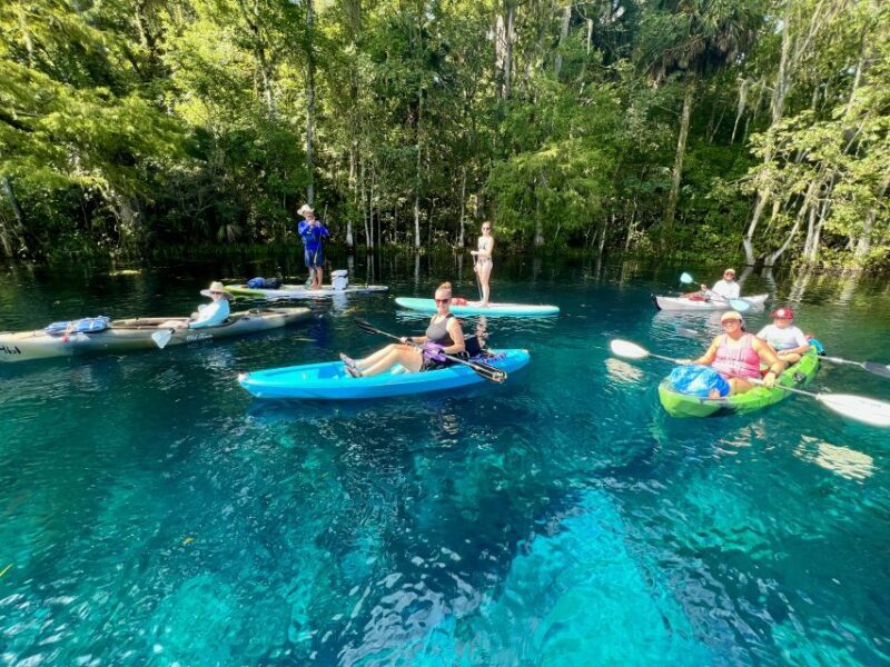 Silver Springs: Manatees and Monkeys Clear Kayak Guided Tour - Who Is This Tour Best For?
