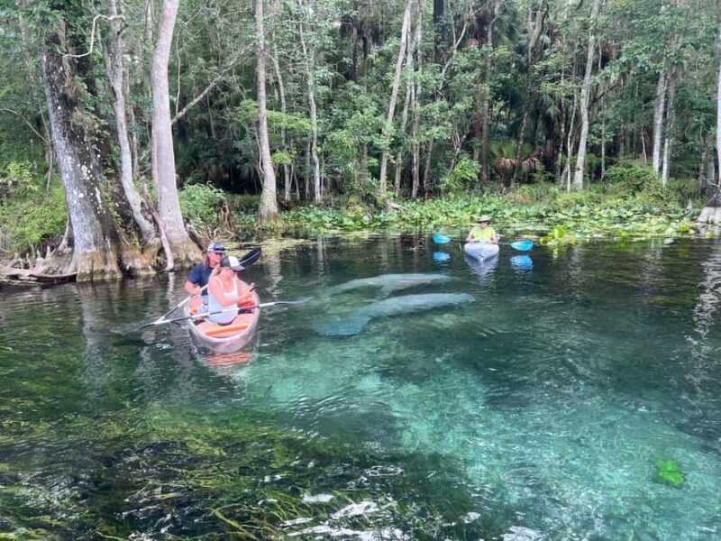 Silver Springs: Manatees, Monkeys, and Natural Spring Tour - Key Points