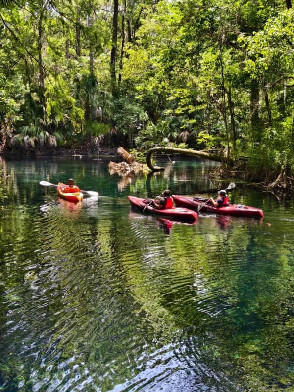 Silver Springs Orlando: Small Group Manatee Season Day Trip - A Closer Look at the Silver Springs Experience