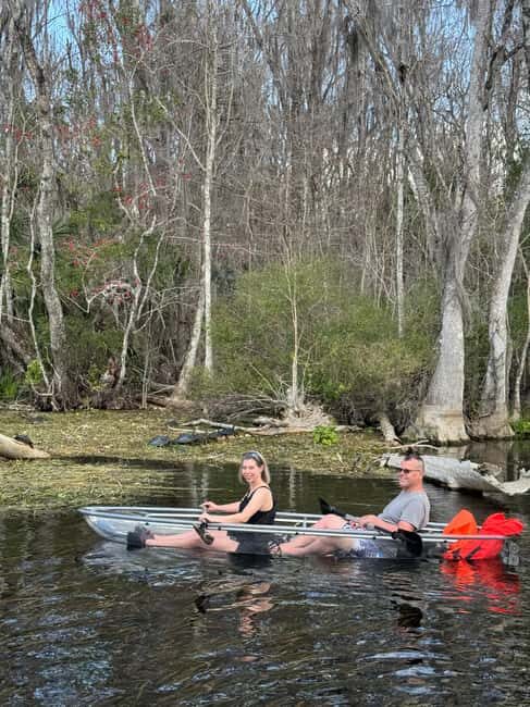 Silver Springs: Silver River Guided Kayak Tour - Key Points