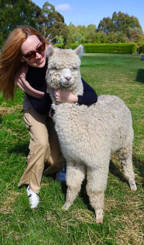 Silverstream Alpaca Farm Tour with Feeding and Guide - The Logistics and Value