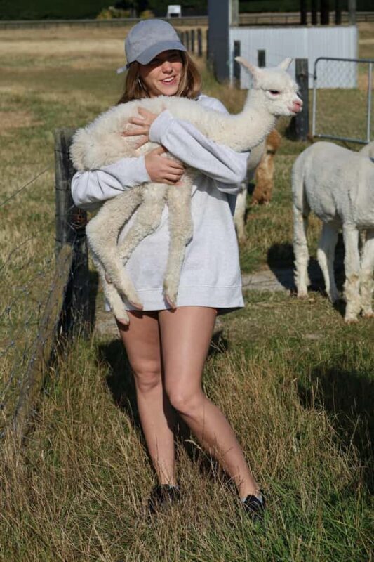 Silverstream Alpaca Farm Tour with Feeding and Guide - FAQs