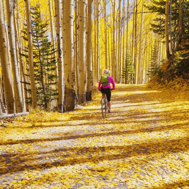 Silverthorne: Mountain Bike Ride Salt Lick Trails - Value and Pricing