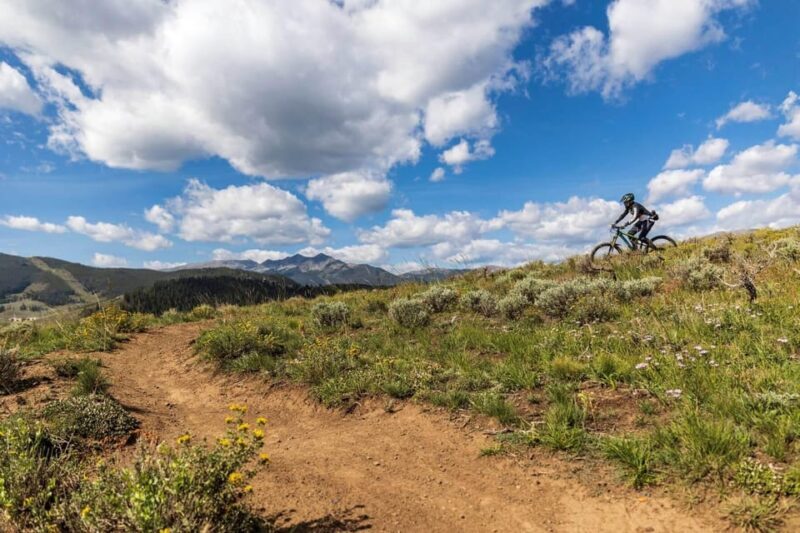 Silverthorne: Mountain Bike Ride Salt Lick Trails - What to Expect During the Ride