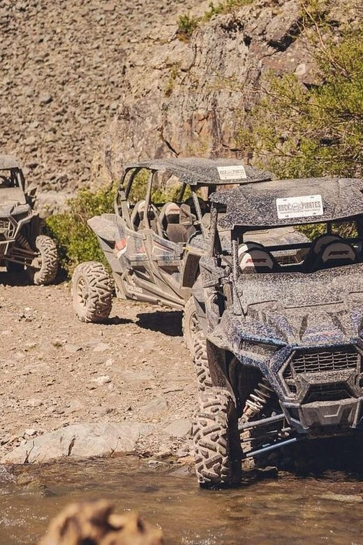 Silverton: Full-Day ATV Adventure - Who should book this tour?