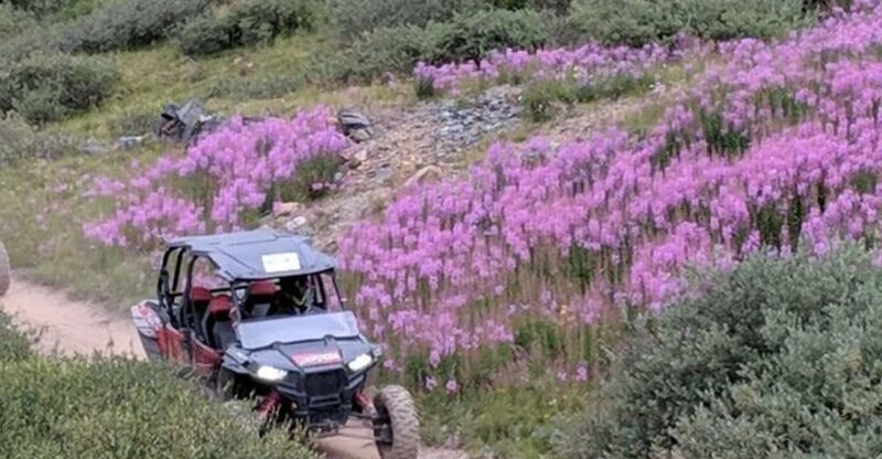 Silverton: Half-Day ATV Offroad Adventure - Key Points