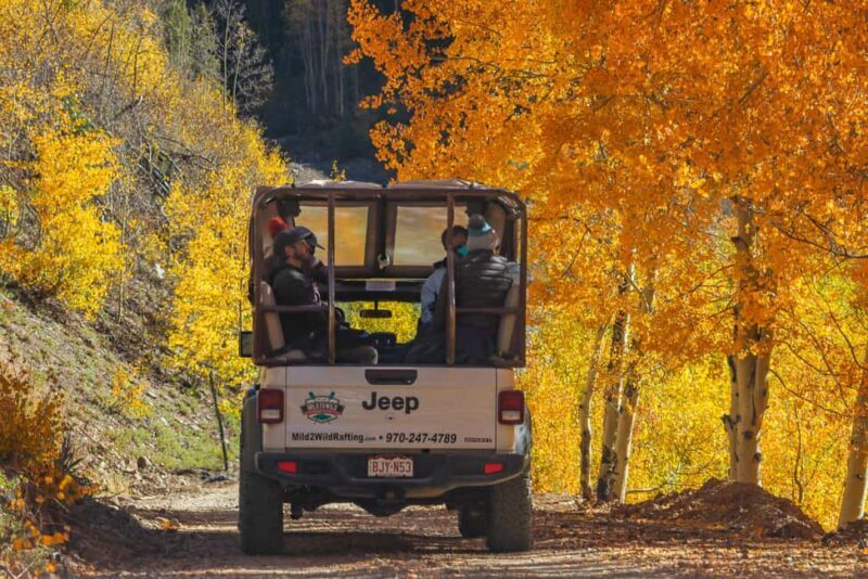 Silverton Half Day Jeep Tour - Price and Value