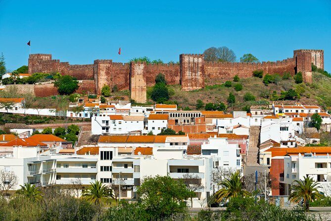 Silves and Monchique Full Day Bus Tour - Transportation and Group Dynamics