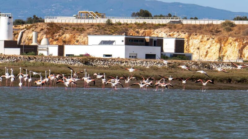 Silves History - Nature Boat Tour - free drink and Port wine - Practical Details