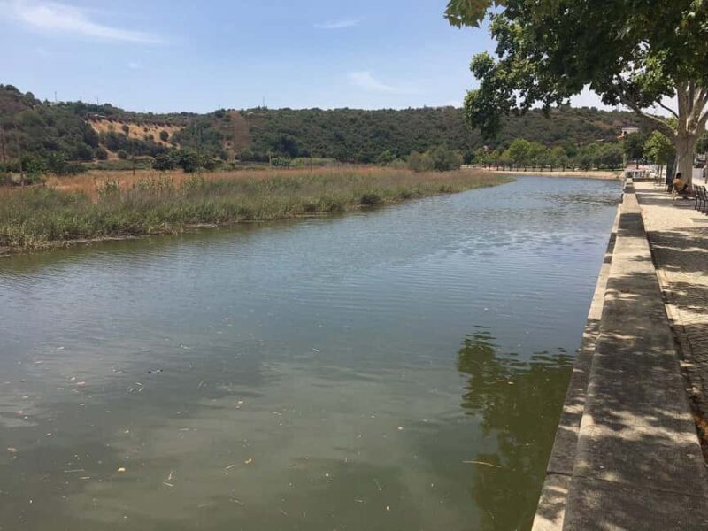 Silves River Cruise - A Deep Dive Into the Silves River Cruise Experience