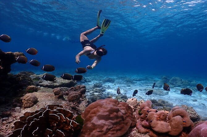 Similan Islands Day Trip from Phuket by Speedboat - Quick Introduction