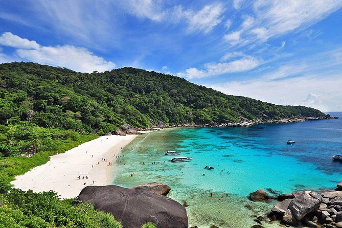 Similan Islands Full-Day Tour from Phuket (SHA Plus) - The Return Trip and Overall Experience