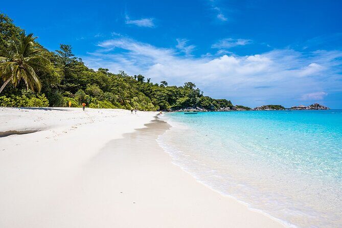 Similan Islands One Day Tour From Phuket Include Lunch & Pickup Transfer - Who Would Enjoy This Tour?