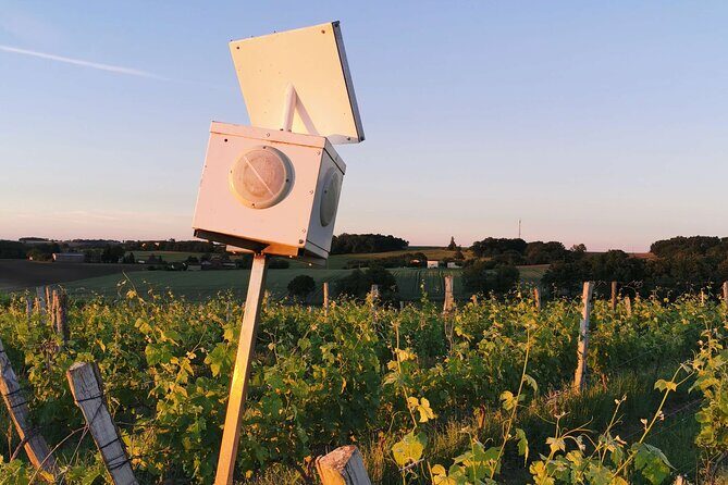 Simple Visit to Discover the Domaine d'Arton - An In-Depth Look at the Domaine dArton Tour