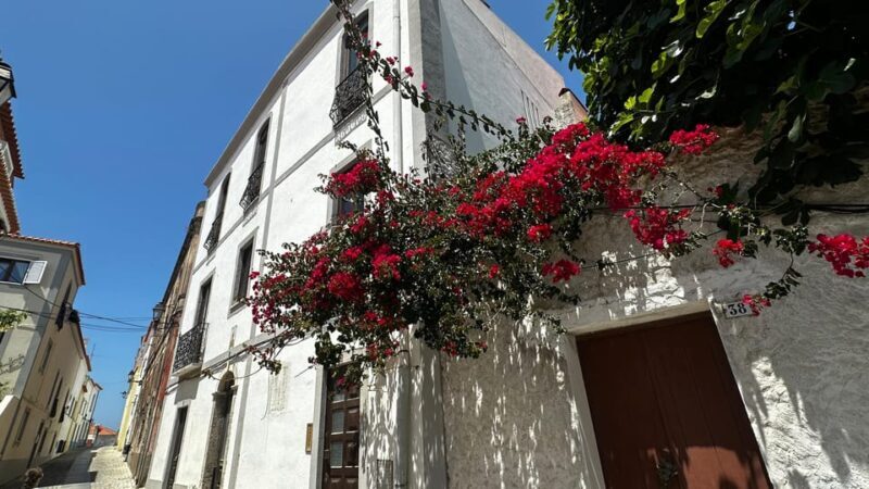 Sines and Porto Covo: discover Costa Vicentina with a local - Final Thoughts