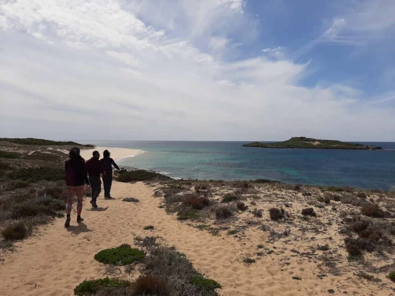 Sines: Private Guided Hike in the Costa Alentejana - Key Points