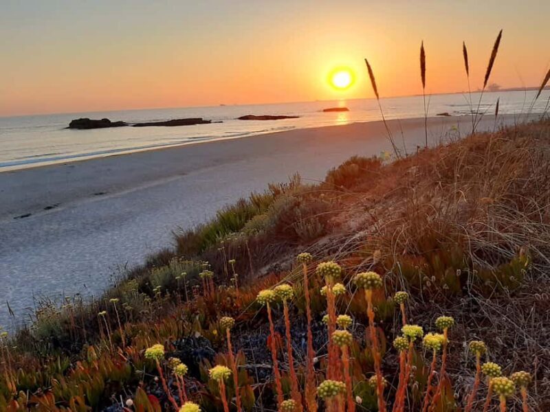 Sines: Private Guided Hike in the Costa Alentejana - An In-Depth Look at the Costa Alentejana Guided Hike