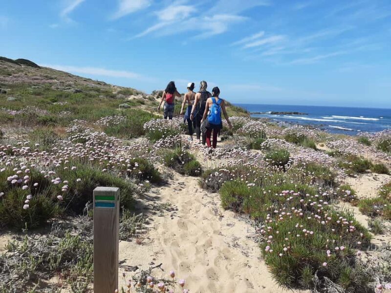 Sines: Private Guided Hike in the Costa Alentejana - The Value of This Experience