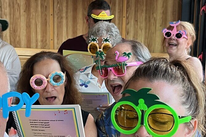 Sing-Along Trolley - Final Thoughts