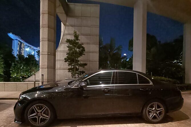 Singapore: Airport/Seaport Arrival Transfer + Meet & Greet - The Sum Up
