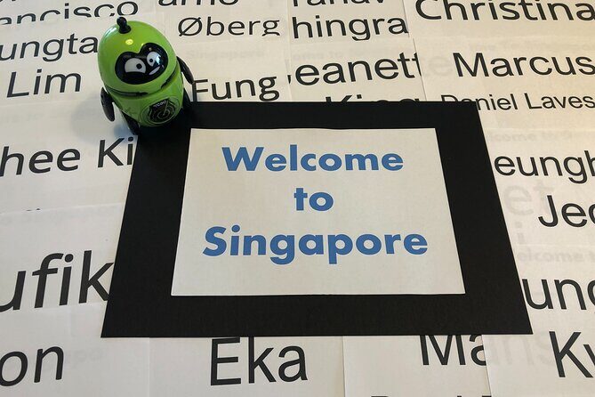 Singapore Arrival Ground Transfer in Limo-Bus - FAQ