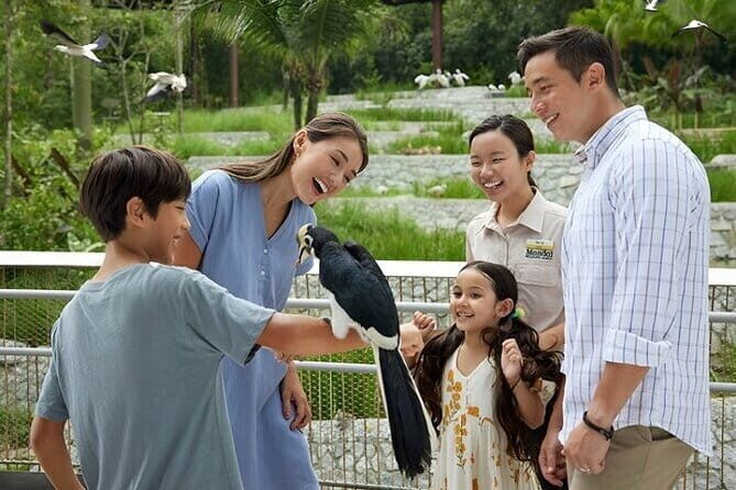 Singapore Bird Paradise E-Tickets - A Complete Look at Singapore Bird Paradise: What You Can Expect