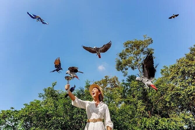 Singapore Bird Paradise E-Tickets - Practical Tips for Visiting Singapore Bird Paradise