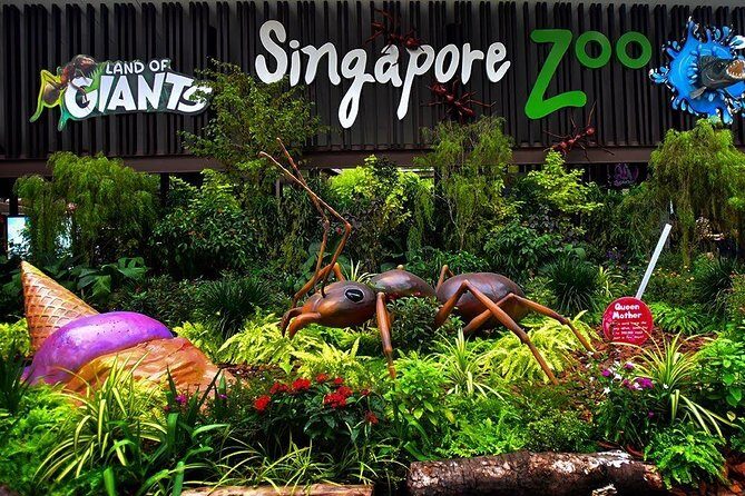 Singapore Bird Paradise & Zoo Full Day (Ticket & Transfer ) - Jurong Bird Park: A Paradise for Bird Enthusiasts