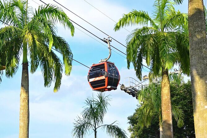 Singapore Cable Car - Who Will Love This Experience?