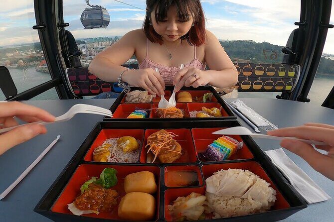 Singapore Cable Car Sky Pass, Sentosa - The Experience in Detail