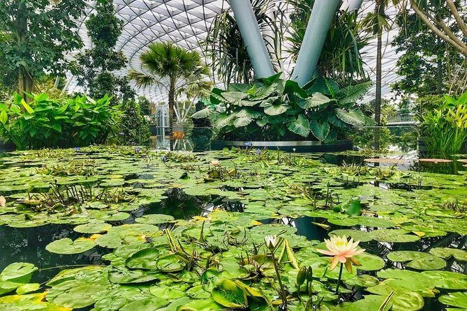 Singapore Changi Jewel Highlights Walking Tour - The Complete Breakdown of the Jewel Changi Airport Highlights Tour