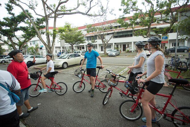 Singapore Full-Day Bike & Food Tour ( Private Tour ) - Overview of the Experience