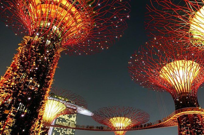 Singapore: Gardens by the Bay Admission E-Ticket - Introduction: What to Expect from Gardens by the Bay