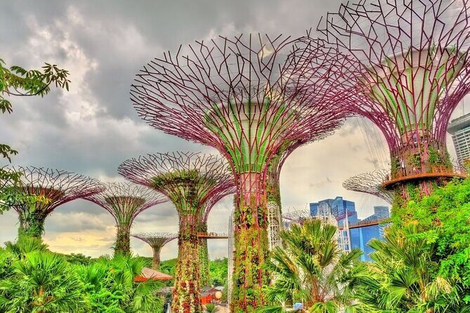 Singapore Hotels to Kuala Lumpur Hotels one way Private Transfer - What to Expect from Singapore to Kuala Lumpur Private Transfer