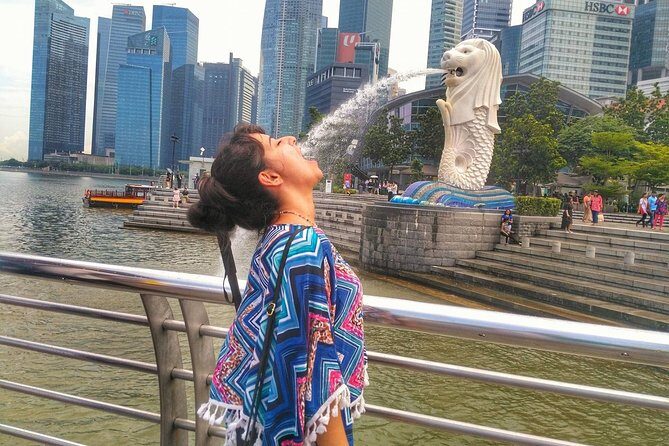 Singapore Instagram Tour By Car (Private & All-Inclusive) - Quality of Guides and Overall Experience