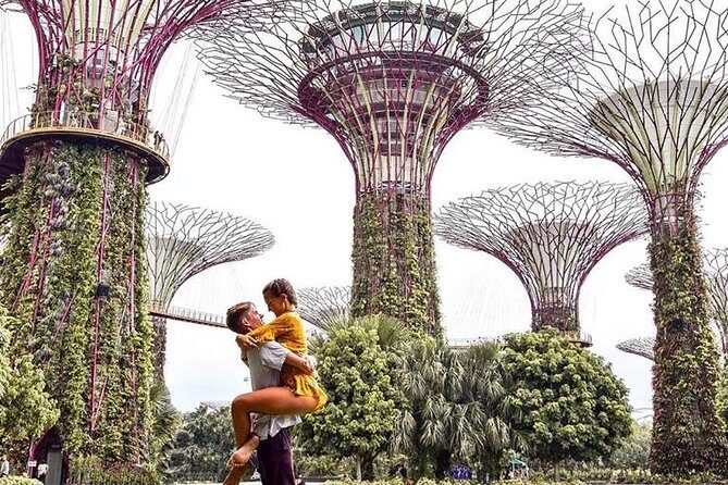 Singapore Instagram Tour By Car (Private & All-Inclusive) - Who Is This Tour Best Suited For?