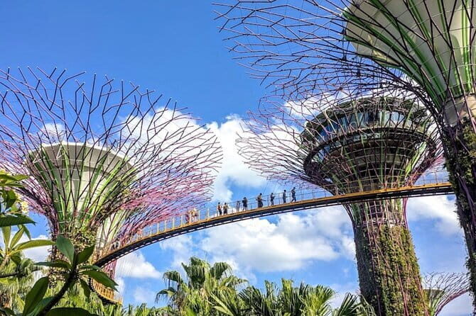 Singapore Morning Tour, Gardens by the Bay and Sentosa Transfer - Dive Into the Details: What to Expect on the Tour