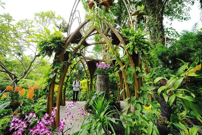 Singapore: National Orchid Garden Admission Ticket - A Deep Dive into the Experience