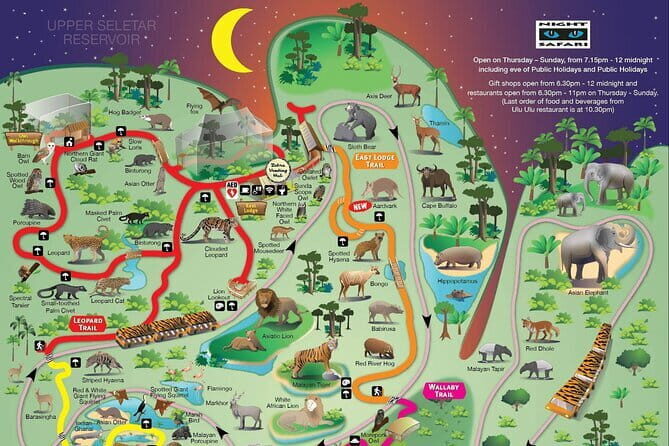 Singapore Night Safari Admission Voucher and Tram Ride Experience - Detailed Breakdown of the Tour Itinerary