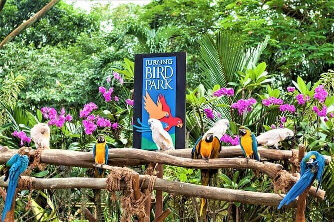 Singapore Night Safari Admission Voucher and Tram Ride Experience - Cost and Value Analysis