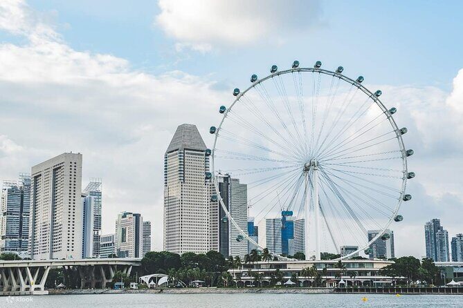 Singapore Panoramic Sightseeing Private Tour with River Cruise - Insights from Real Travelers