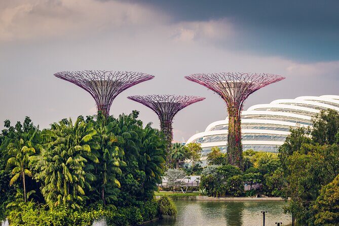 Singapore Private Professional Photoshoot at Gardens by the Bay - Key Points
