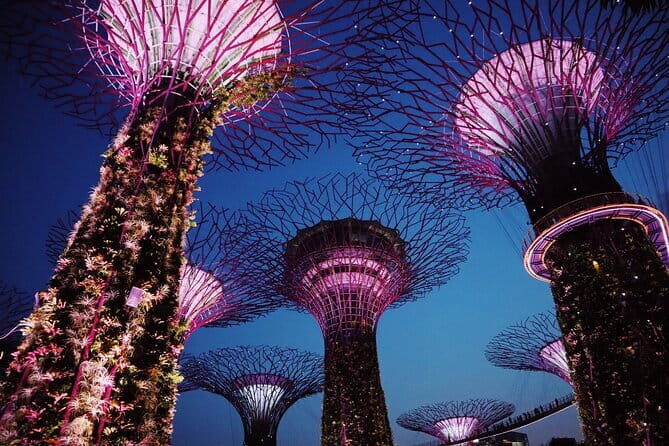 Singapore Private Tour with a Local Guide - Key Points