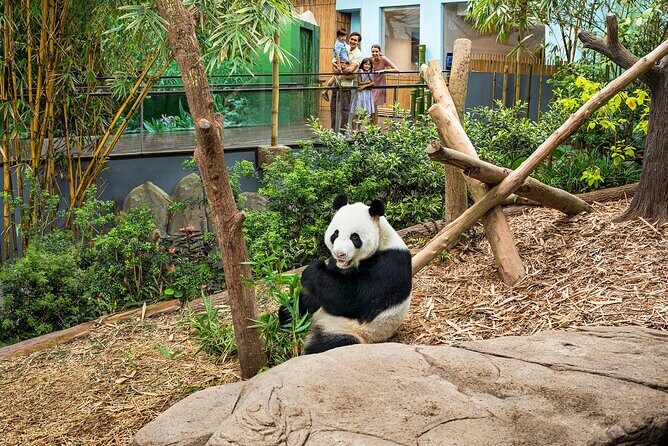 Singapore: River Wonders Entry Ticket - Who Should Consider This Experience?