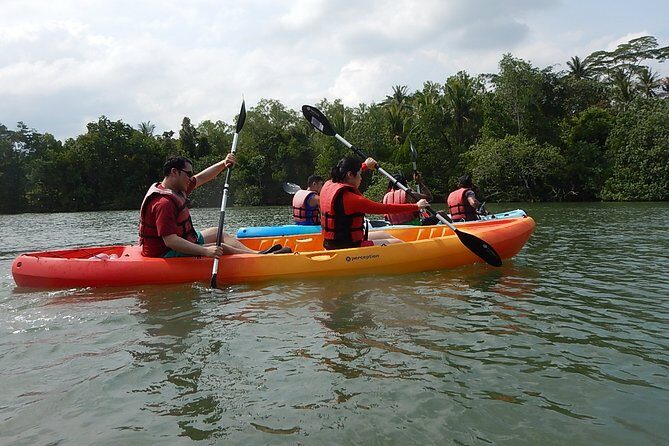 Singapore Round Ketam Kayaking Adventure in Pulau Ubin - The Sum Up: Is It Worth It?
