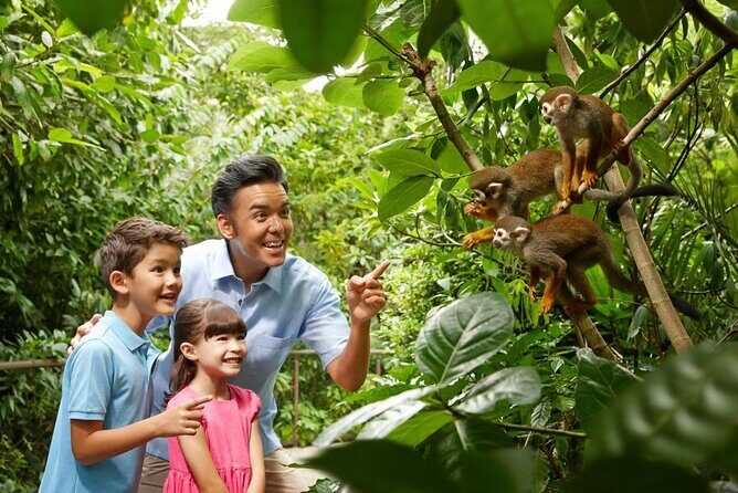 Singapore Zoo - Key Points