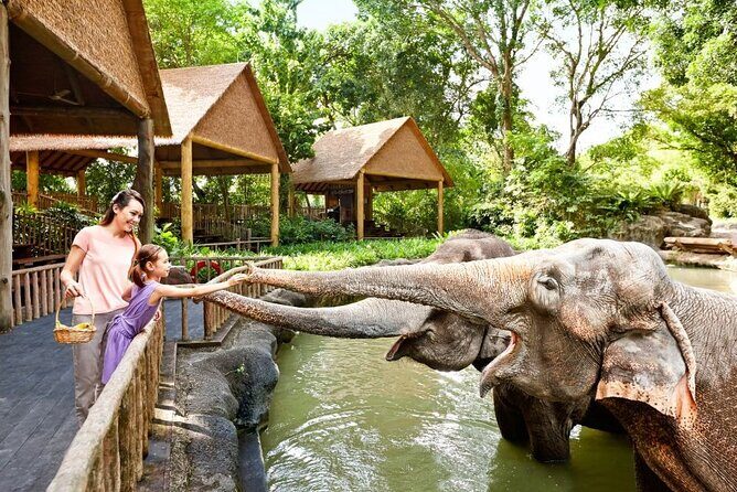 Singapore Zoo - A Deep Dive into the Singapore Zoo Experience
